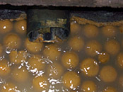 喫水部に浮遊する油分を含んだオイルボール